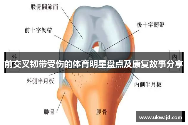 前交叉韧带受伤的体育明星盘点及康复故事分享