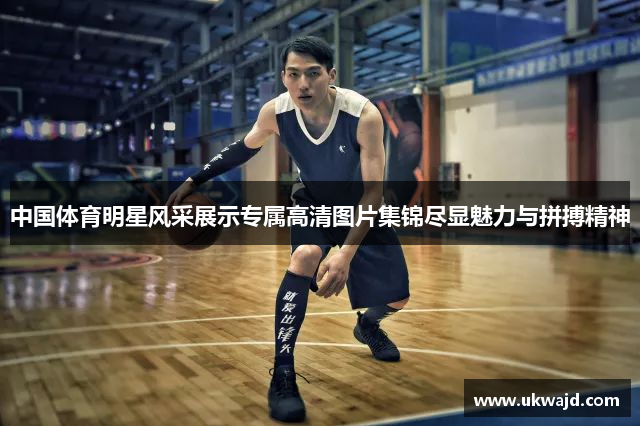 中国体育明星风采展示专属高清图片集锦尽显魅力与拼搏精神