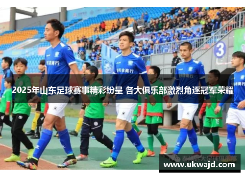 2025年山东足球赛事精彩纷呈 各大俱乐部激烈角逐冠军荣耀